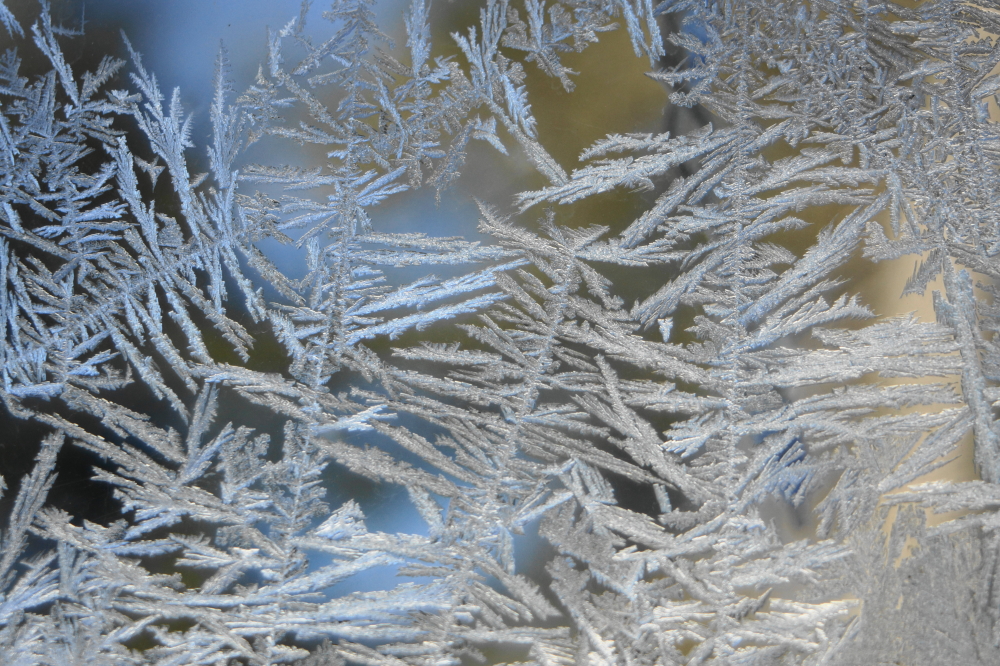 Friday morning was cold enough to freeze boiling water tossed from a pan before it hits the ground. It was judged too cold to journey outdoors to try this so instead we marveled at the frost patterns on the bar's windows.