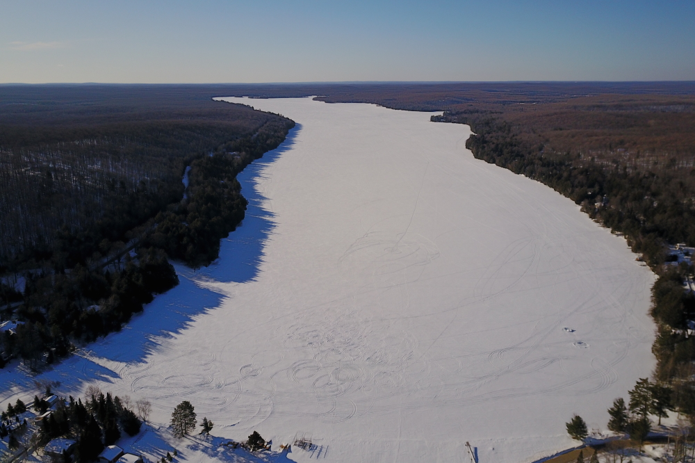 Last week started off warm (for this time of year, think above 32°F in the afternoon). Then came the kind of temperatures that reminded us that February, even late February, is not to be trifled with.  As the week progressed, morning lows went from the teens to the single digits to sub-zero on Saturday morning. Then it changed.