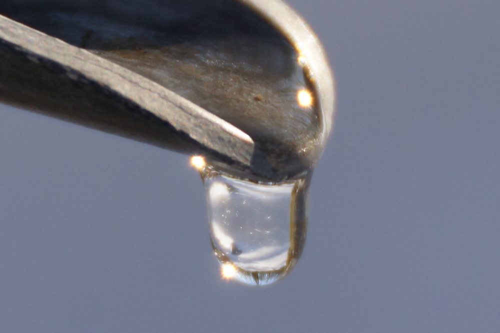 On Sunday, temperatures shot up to 45°F.  The wind was light, the sun was bright, and the maples started running. 