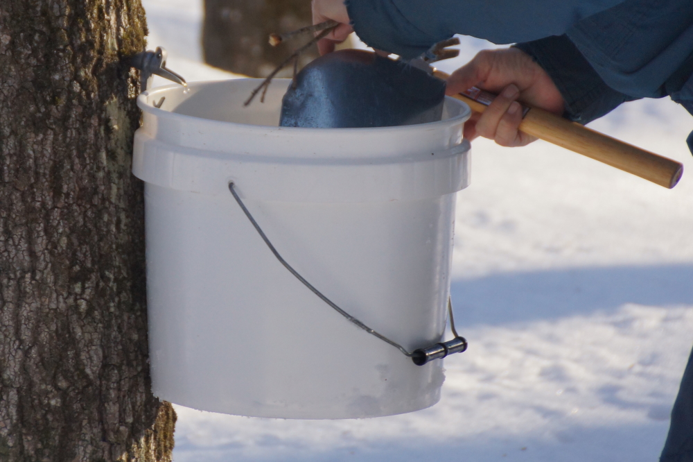 Only just over 330 trees to go.  It's gonna be a long week.