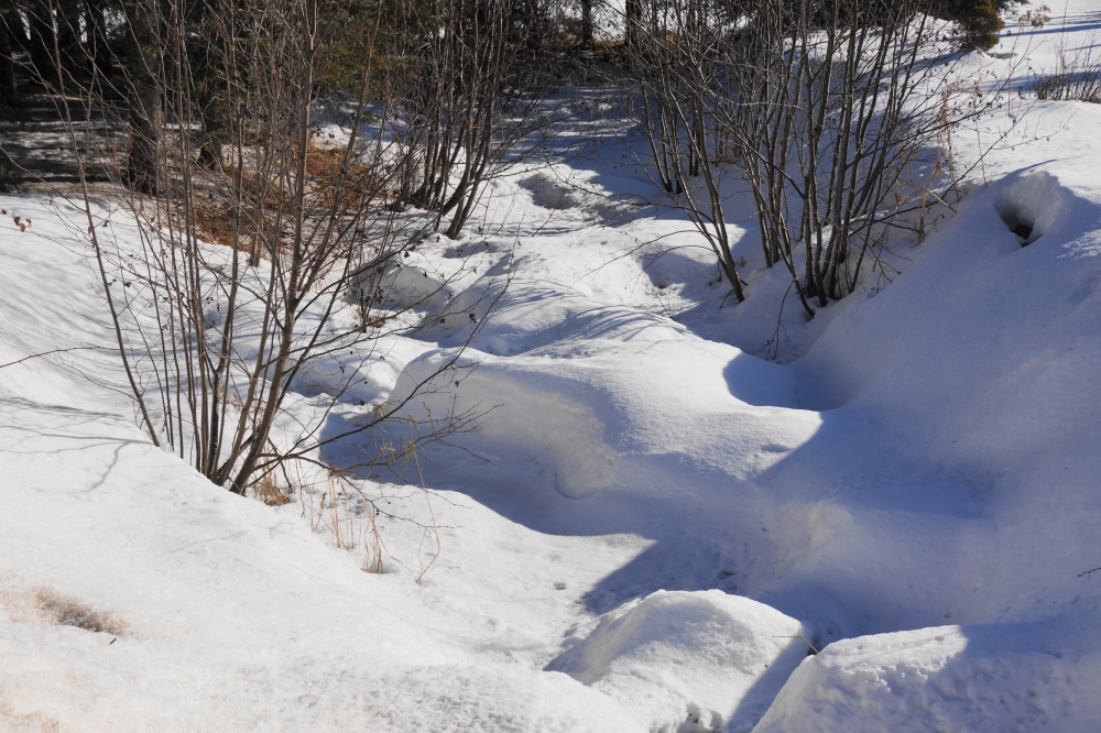 At the end of the week, an inch of predicted snow turned out to be closer to 6 inches, but you could still hear water running all around the lake.