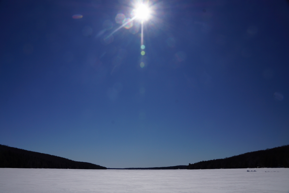 Blue sky and sunshine for much of the week made it even more Springy.