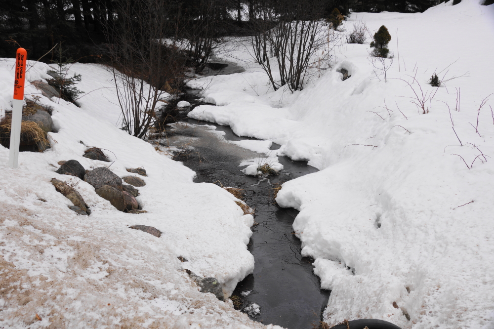 The rain pushed the creeks trickling into the lake from flowing to rushing.