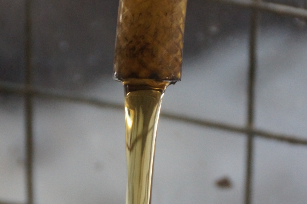 Early syrup tends to be lighter than mid or late season syrup. It has the same sugar content, but a lighter color and more delicate taste. Some prize it above all other pancake toppings, others contend they're all good.