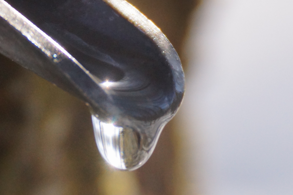 They were running though not as hard as we had hoped. This could be a function of the large amount of snow still in the woods keeping the trunks of the trees from getting very warm. The snow has caused another issue. The packed trails from tree to tree were easy to see and follow. With some of the snow melting, they are getting hard to find. It can be a challenge to choose where to plant your next step.