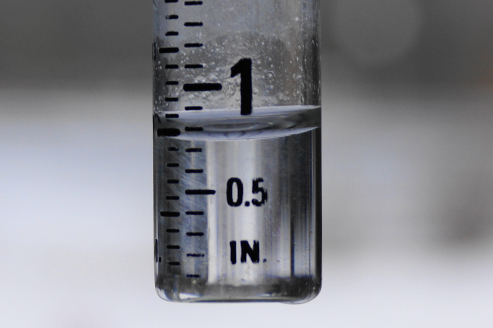 Just after mid-week, we had a long, hard overnight rain.