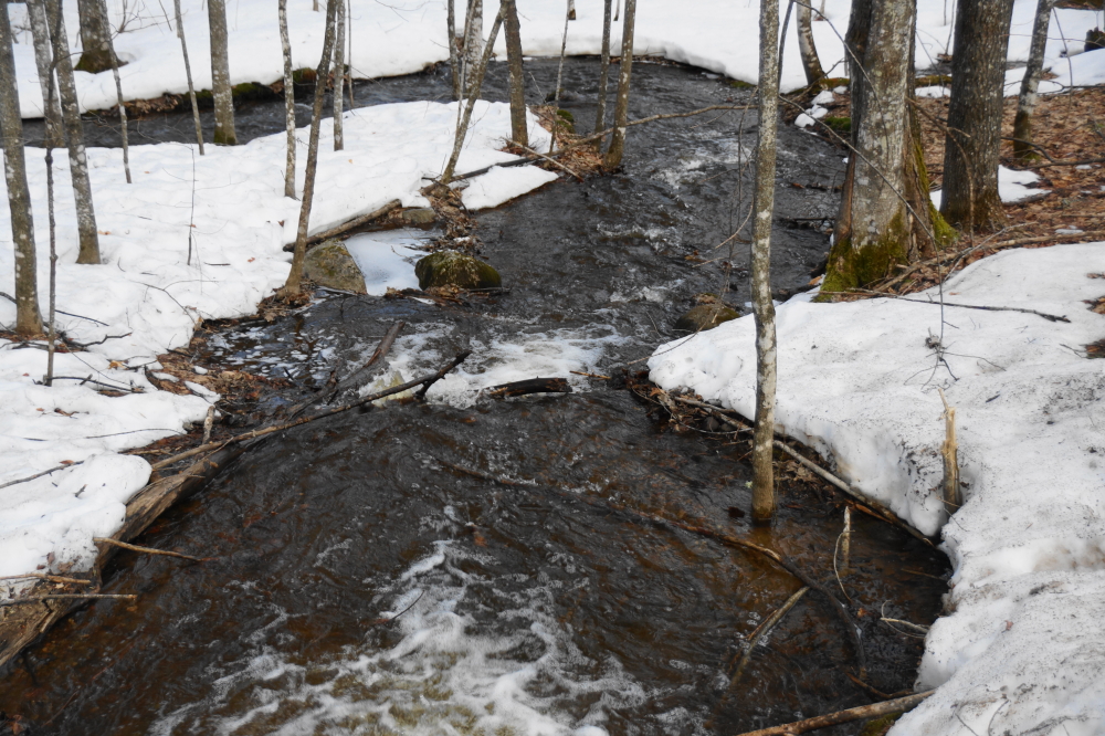 Much of the Spring noise was the sound of melt water rushing into the lake. The lake level is going up.