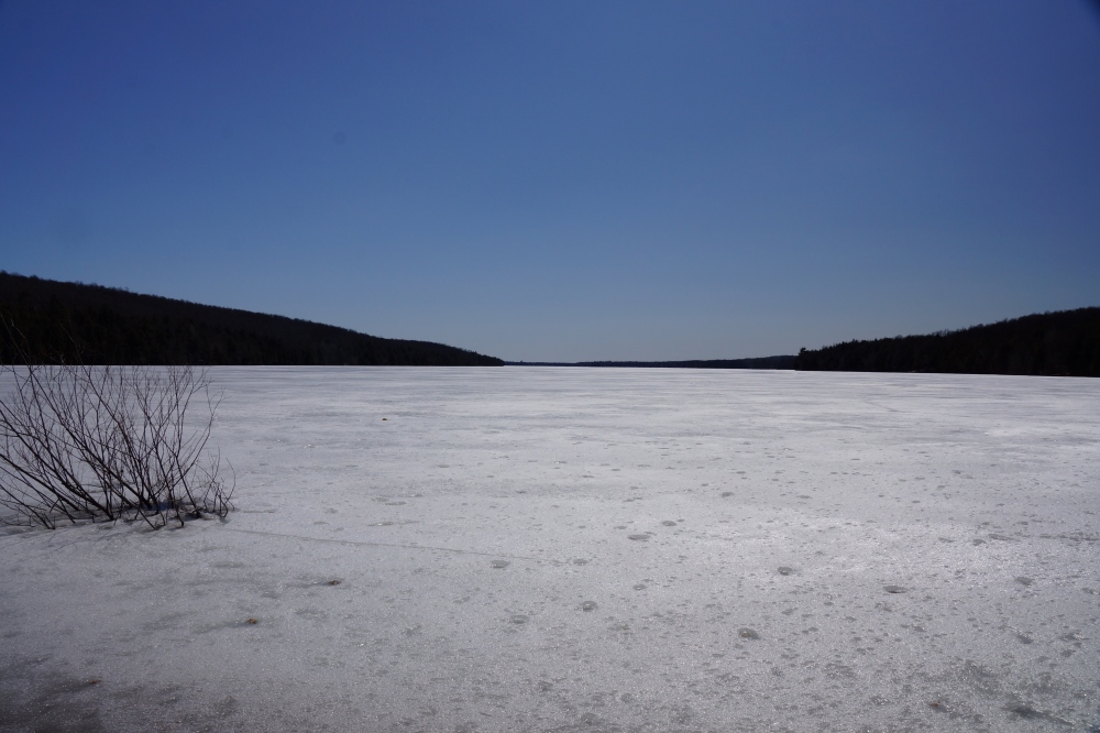 The ice is starting to pull away from the shore and almost all the snow lately is rain. There's a growing feeling that permeated the northwoods that ice-out, golf, and an end to tapping is just a week or two away. Most dare not speak of such things for fear of jinxing it. The last report has the ice at 14 inches with the top 3 or 4 inches being very soft. That could carry ice-out close to two weeks away unless we get lots of warm and rain (sooner ice-out, huzzah!) or a visit or two from a Snowpocalyptic Horseman (May ice-out, Boo!).  All will be made as clear as the water of Lake Lucerne in just a few weeks.<br><br><br>-Nemo's cautiously hopeful.