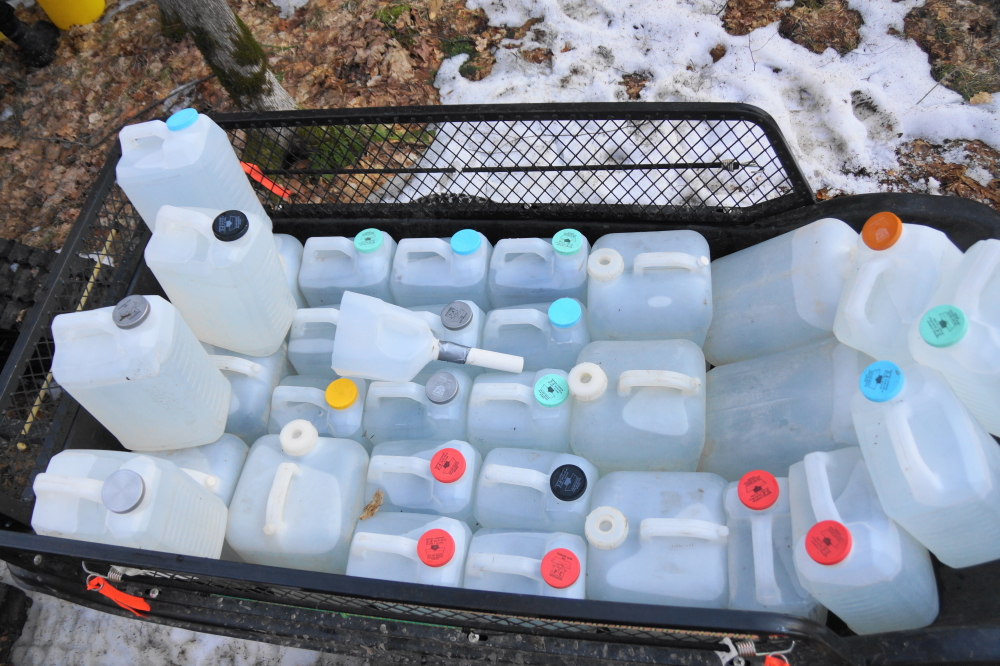 And then rushing the collected sap to the cookers on Knott Lane.