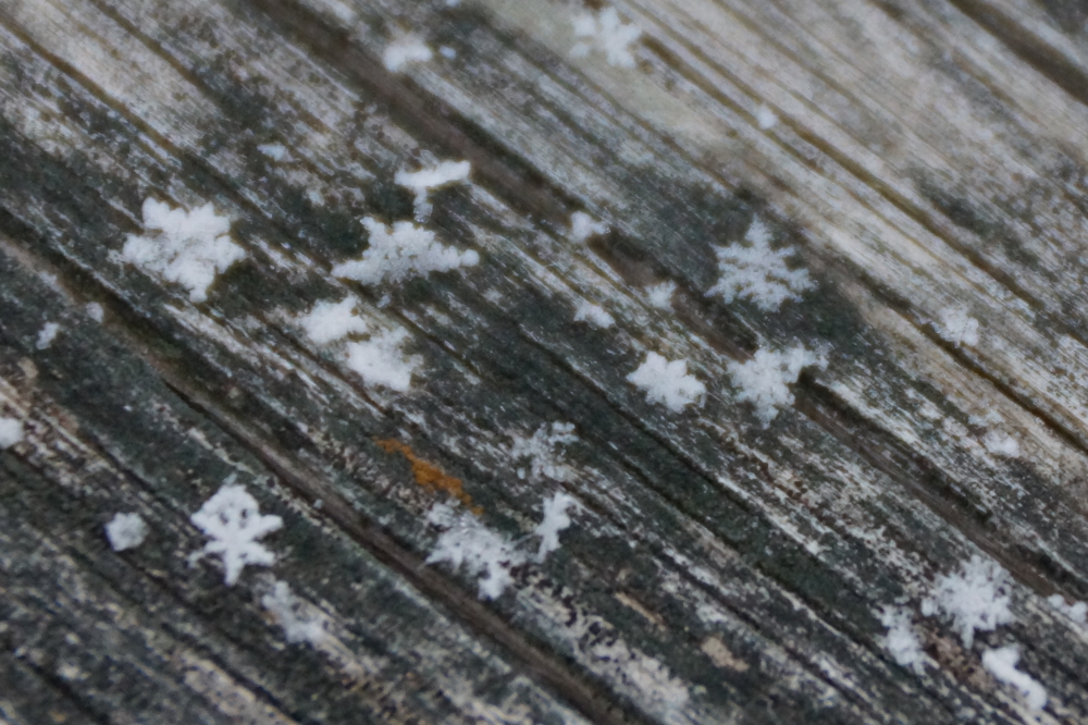 It started on Sunday morning with a few flakes.