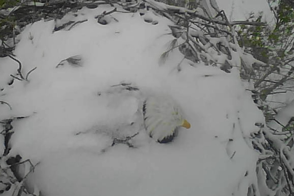 This about sums it up.