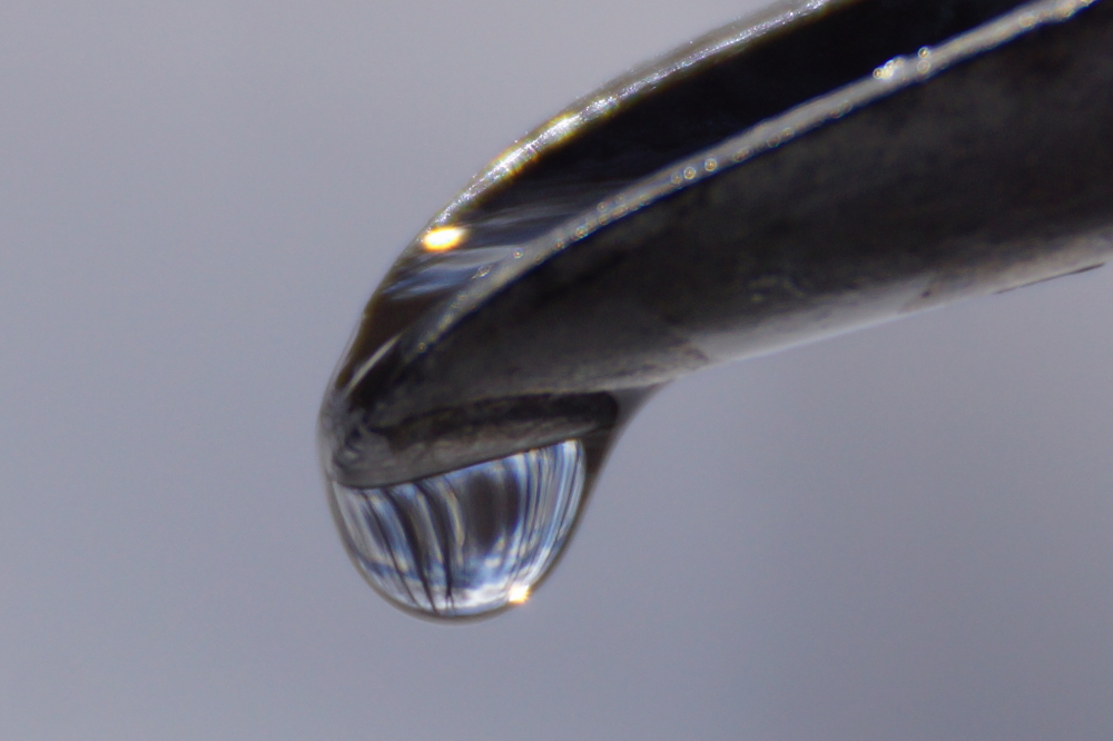 The thaw restarted the taps.