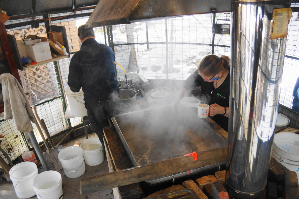 The new inflow of sap eventually led to another canning event on the lane.