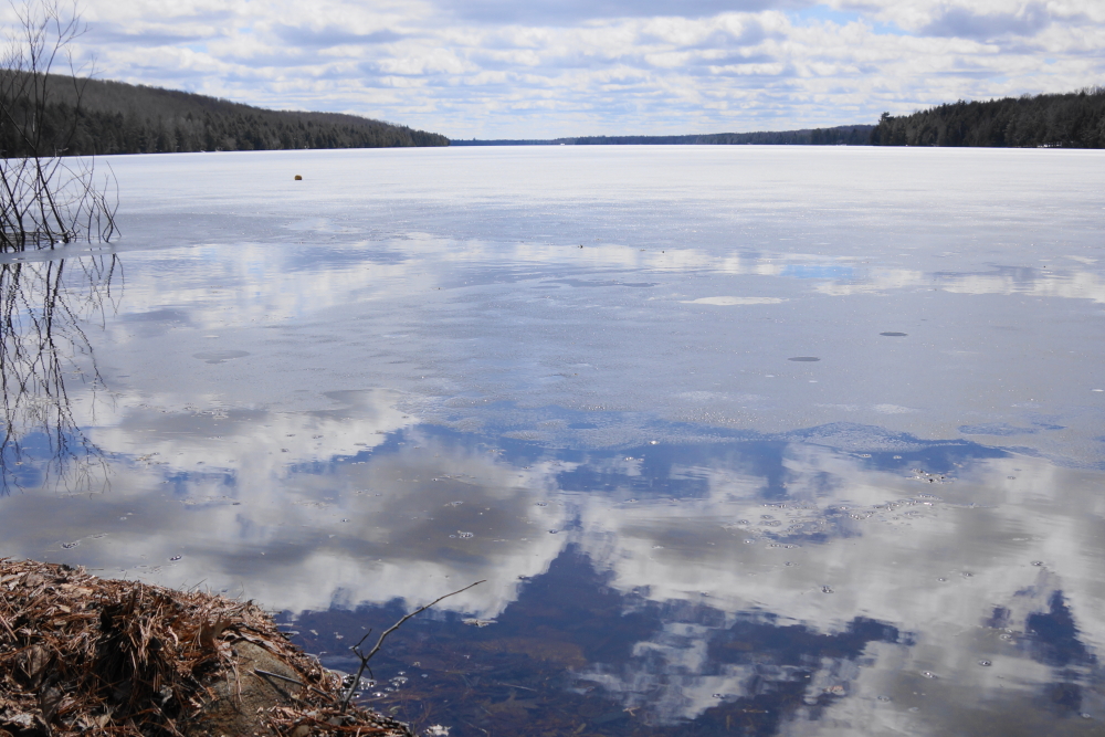 With many of the effects of ZOMBIE WINTER! behind us, the focus is on ice-out. Will the ice be gone before the end of April? Will it push into May as it did the last two years? Will another rare Winter event occur and push ice-out past the opening of fishing season or even into June? We can't say for sure, but we can schedule the pulling of the taps and the cleaning of the buckets. That'll happen next week and involve many trips to the sugarbush, lots of scrubbing, and more bleach than any one man can safely drink. Let's hope for less rain and especially less snow.  The current precipitation amounts are making islands of certain cabins and tee boxes.<br><br><br>-Nemo got his tee time and PFD.