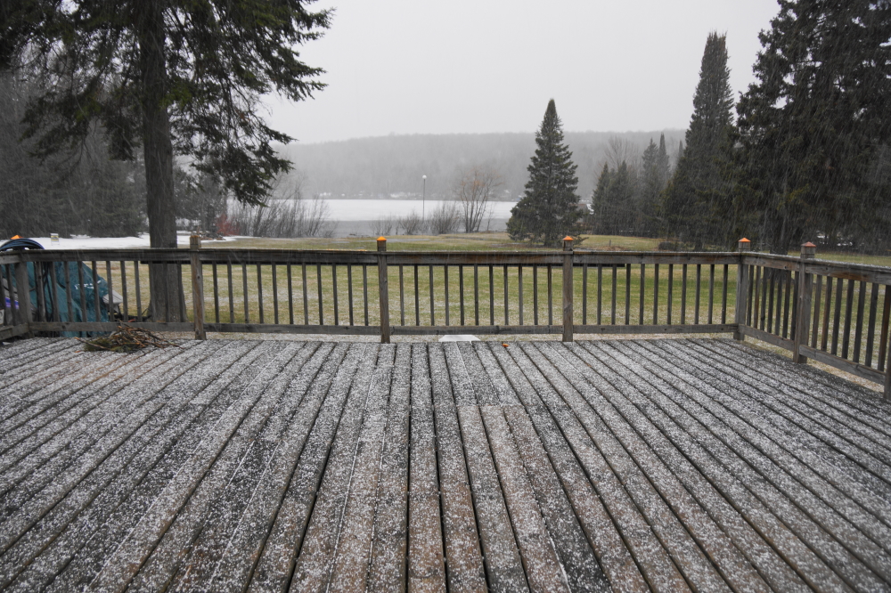 There was also a little hail. The sugarman who was riding back from the tapping field described it as being a little over two tenths of in inch wide, white, and painful.