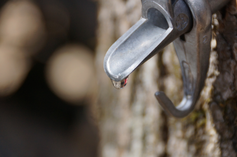 The taps thawed and began to drip again. The amount collected was not very impressive. 