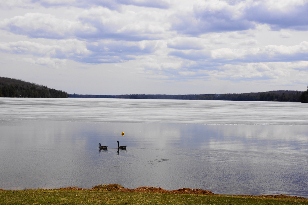 Just before the weekend, the ice on the North end melted enough for swimming, but not nearly enough for boating.