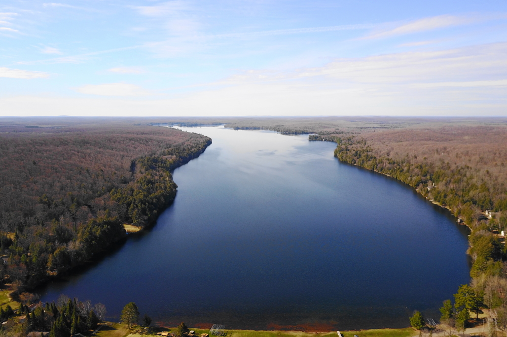 By the week's end there was just a hint of green in the hills by a very few trees that may have mistaken a truck backfire for a starting gun. It'll be much greener in another week or two. And more Trillium-y!  A few brave souls were reported having joined toe to water or aquaplaned up a short run of flat. With the lake temperature in the low 50's (°F) it'll take a swimsuit fire to get us in. Unless you count the short dips into deep lawn puddles while mowing.<br><br><br>-Nemo believes slow no wake is the ideal mowing pace.