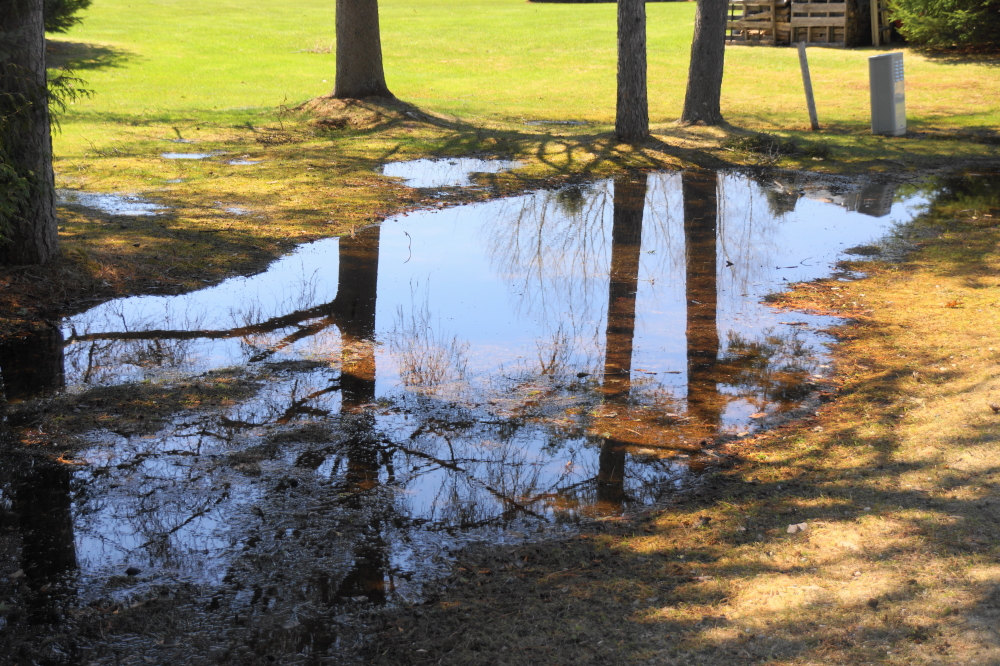 The water from the sky has filled the creeks and streams flowing into the lake in addition to creating lawn puddles of extraordinary magnitude.