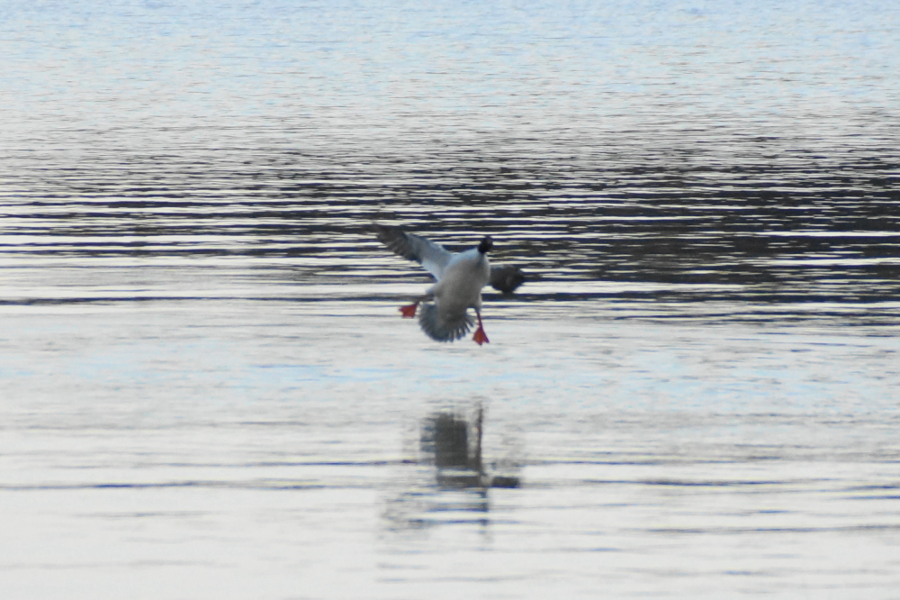 After a season and a half of eating and shoveling snow, that first step-off of the year can be tricky.