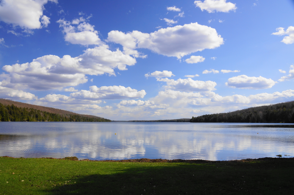 That was different. Normally we shoo gray or black squirrels away from the bar's bird feeders, not the other way around.  We've never really thought about it, but It's much better to be the the shoo-er rather than the shoo-ee.  In contrast to the large amounts of blue and cold, there was very little rain or snow last week. The lake level fell about 2 inches and small parts of some underwater docks peeked above the water line for the first time in months.  If this dryer trend continues for another 12 weeks, the lake level will only be about a foot above normal.<br><br><br>-Nemo's less of a snack, more of a meal.