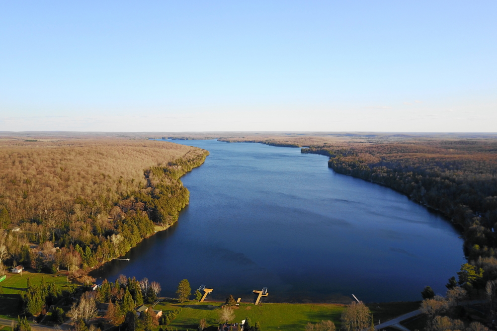 Last week started off clear and cool if not downright cold. The trillium continued to hide, but, if the light was just right,  a small touch of green could be seen in the trees. 