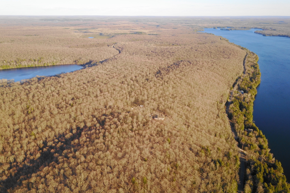 By the weekend, there was just a shade more green in the trees and a dollop more warm in the air.