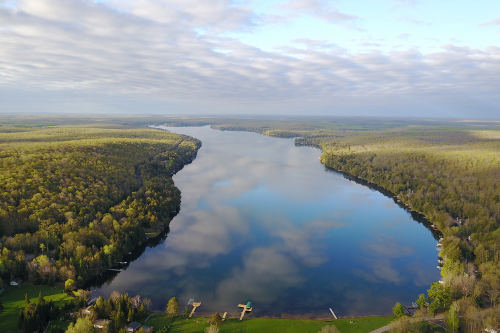 By mid-week, the trees began to explode in shades of green.