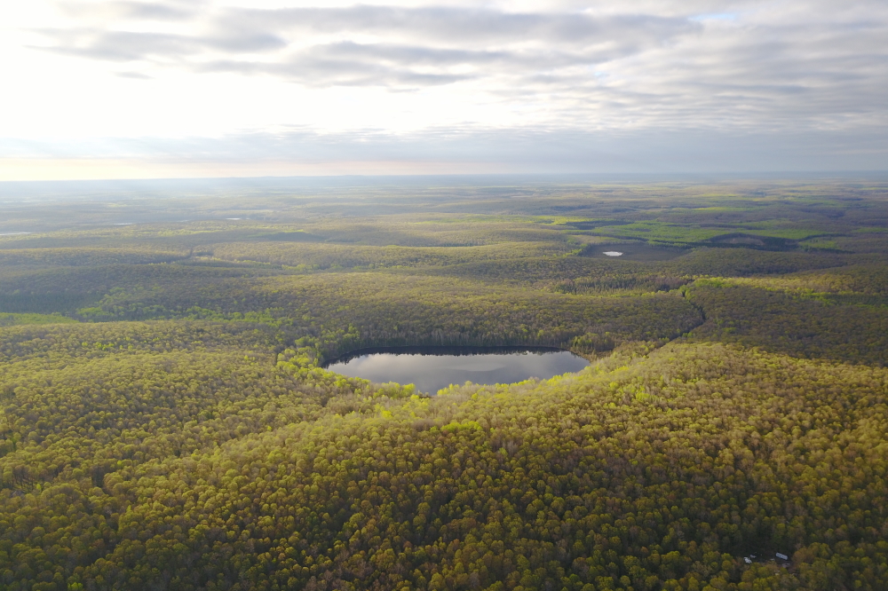 The hills to the east of Lucerne lost their autumnal look almost overnight.