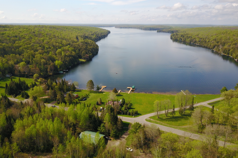 Be careful on the pavement around the lake. West Shore Drive and part of Potawatomi Trail (foreground of this image) have become "Roads of Death" for both the furry and slimy. We've counted over a half dozen flattened frogs and other assorted crushed critters on walks to Knott Lane.