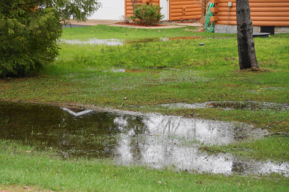 The lawn puddles were back. A little more rain and they'll become full fledged navigable waterways.