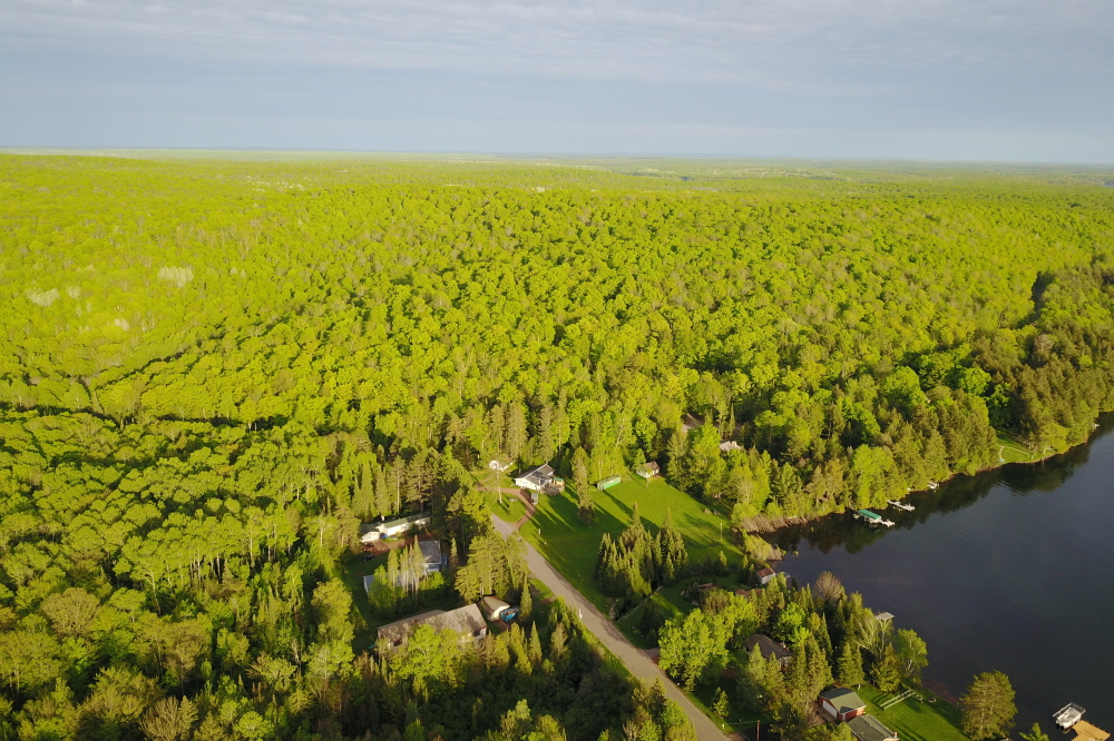 The result of all that wet was some impressive greening of the hills around the lake.