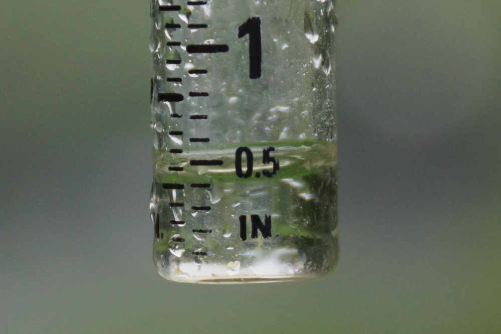 The wettest day saw the lake get almost a half an inch deeper.