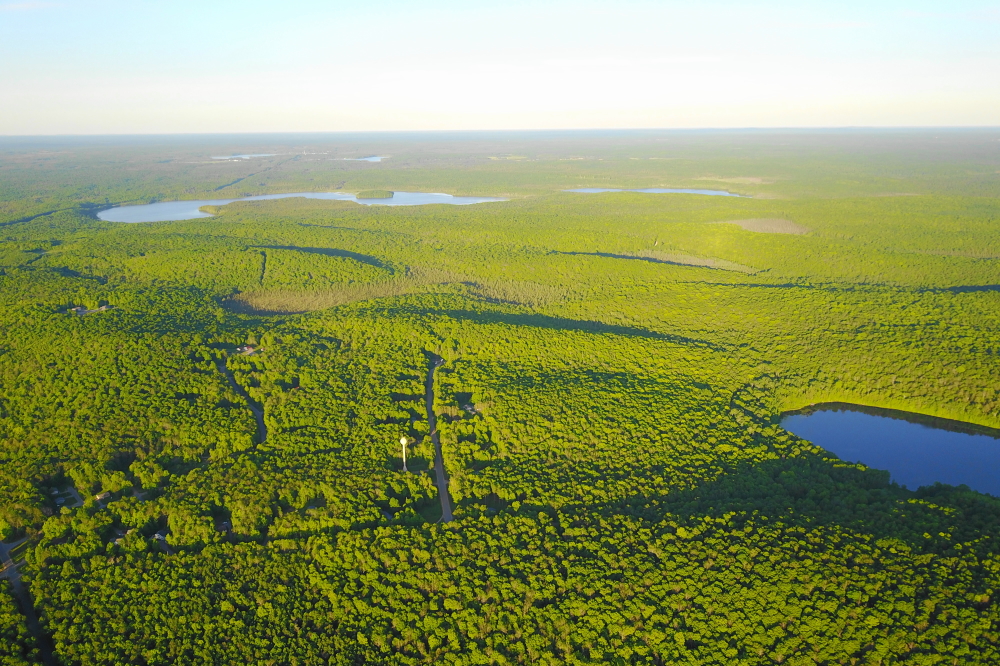 In addition to damp fuzzies, soaked lawns, and vast herds of mosquitoes the rains have helped color the area in the most brilliant shades of green.