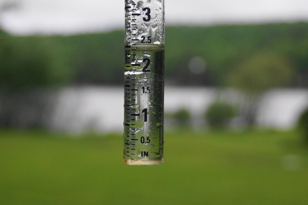 The residue of a tropical storm resulted in the first rain event. It had been dry-ish for the preceding week or so. It's not so dry anymore.