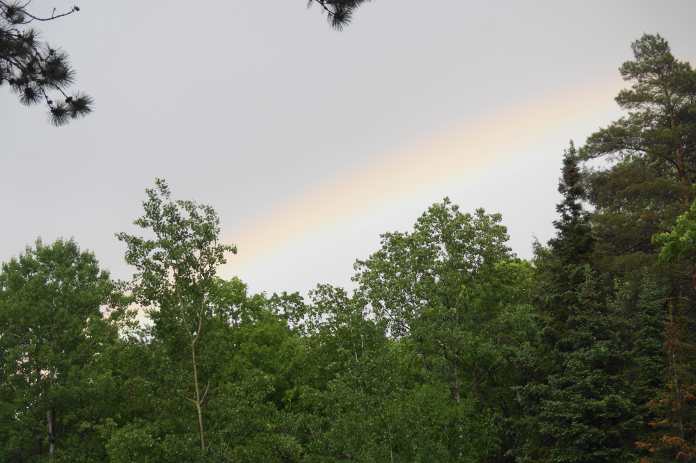 The sun/rain combo did a nice job coloring the sky.