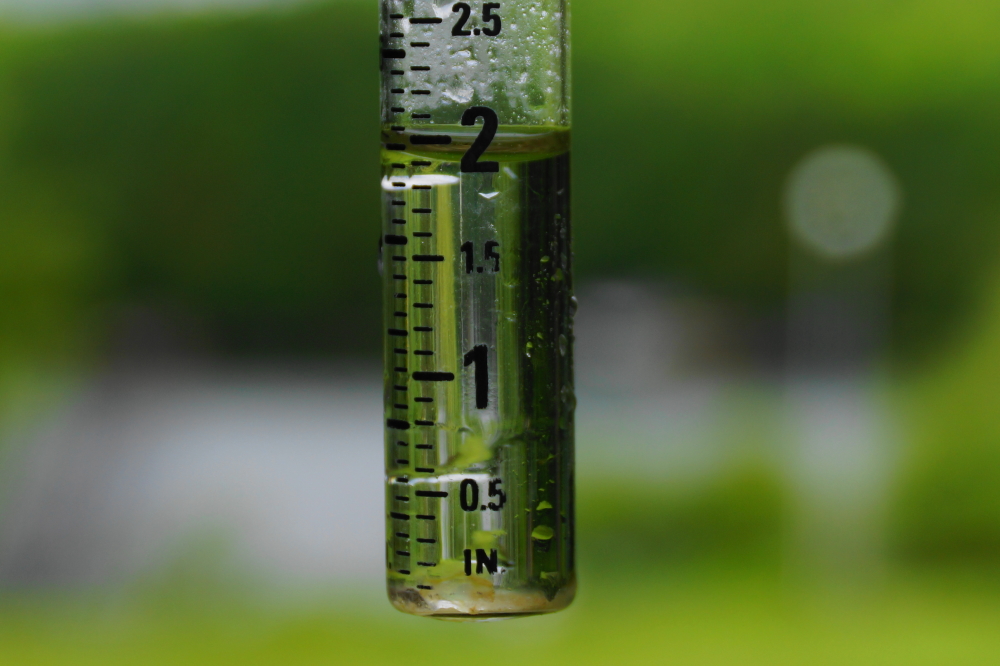 By Sunday morning, the lake was 2 inches deeper. It's still an inch under its peak on May 1st, but the inflows may push it over that high early next week.