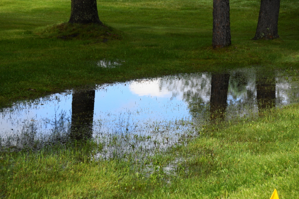 The lawn puddles are back.