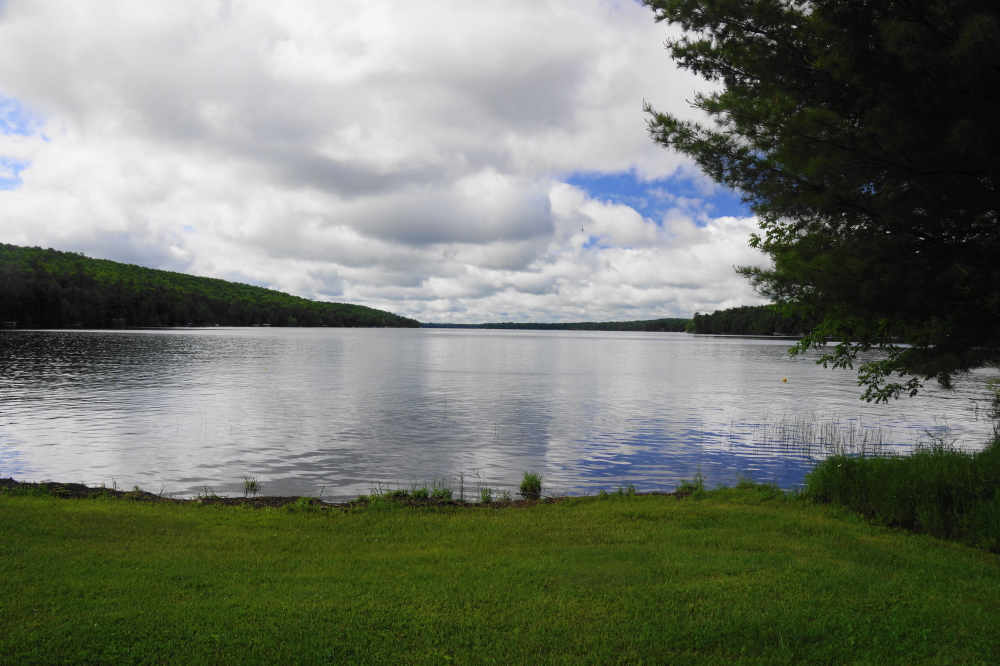 Back during the record low lake levels, there was a real problem with boats being trapped on lifts as the water level plummeted. That's not a problem this year. The lake level is currently at 33 inches above the nail. That's just an inch under the record high recorded earlier on May 1st. Remember back when we were praying for rain and even asking people to do a rain dance? Is there such a thing as a drought dance? There should be. And we should be doing it.<br><br><br>-Nemo worries that the chipmunks are starting to think they're people .