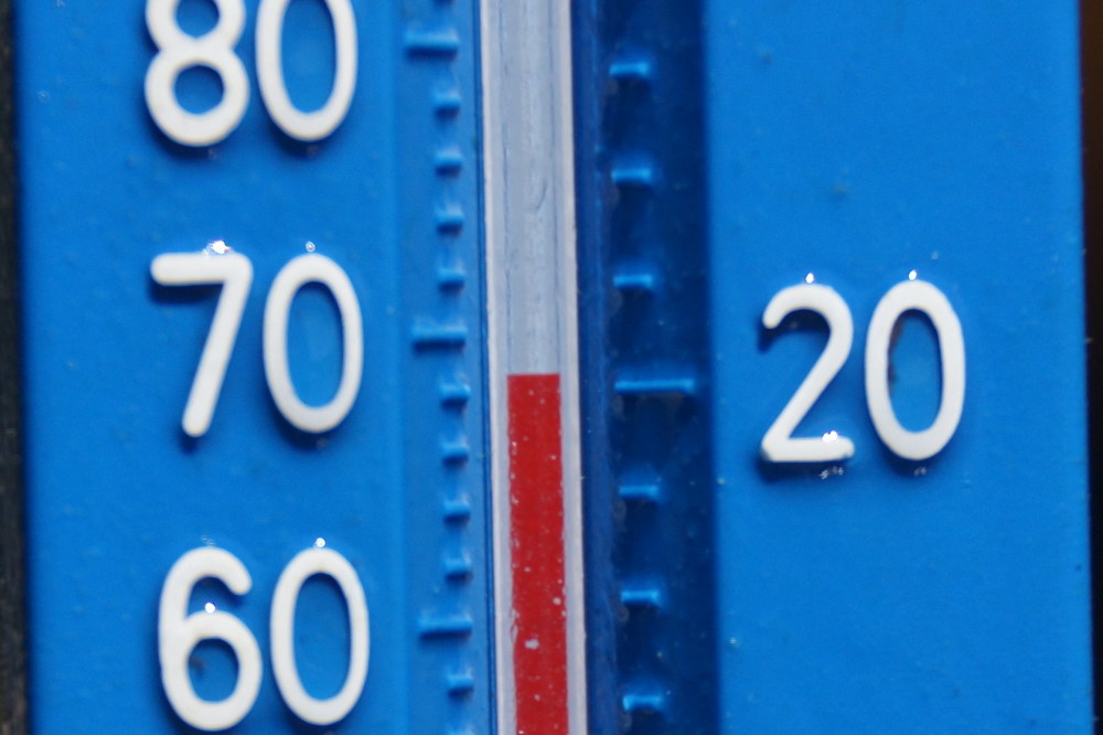 The lake temperature peaked at 71°F,  then pulled back to 69°F. It'll get warmer in the coming weeks, but not much.