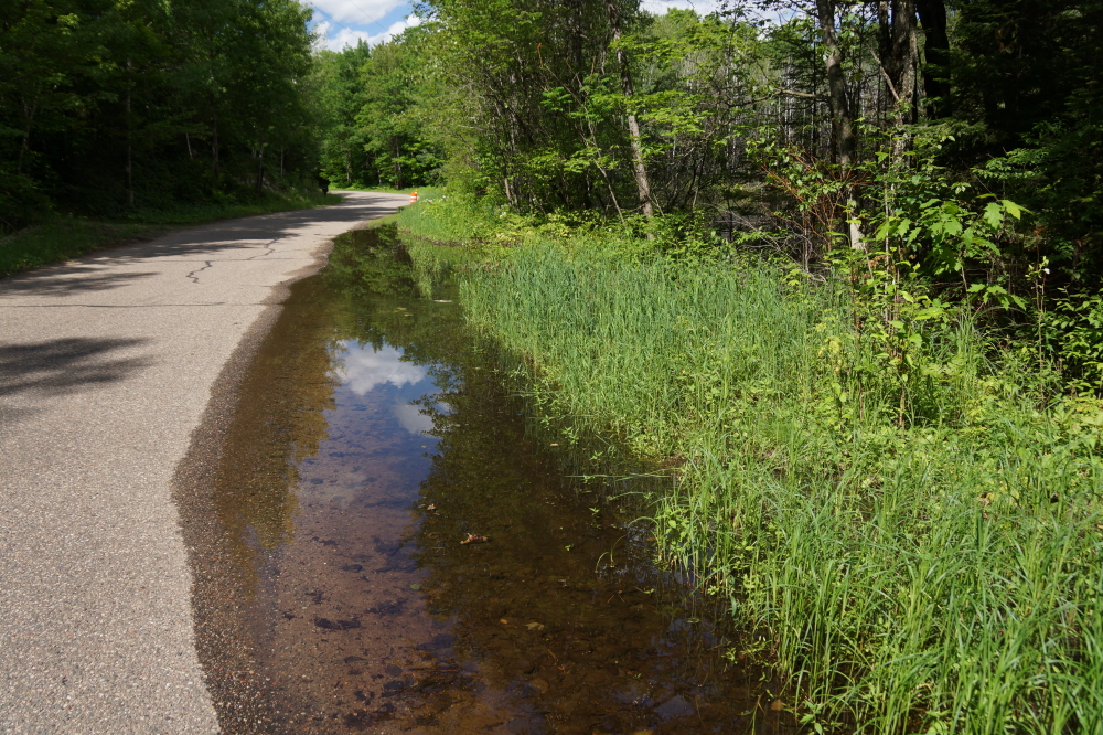 Part of the southeastern stretch of Lake Lucerne Drive is going underwater. Just 6 or 7 years ago, the small ponds that dot the South end were nothing more than a damp grassland. Now they have grown past the roadside and consumed about a quarter of the pavement. 