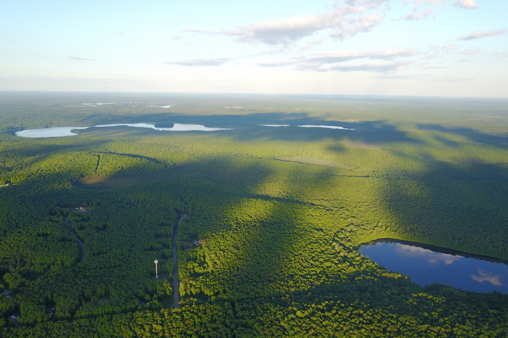 Peering East towards Wabikon and Riley, it looked even more green.