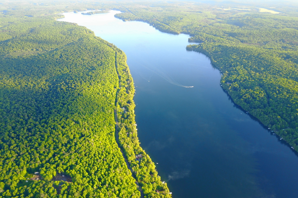 There were also boats. Pontoon boats, ski boats, fishing boats, jet skis, canoes and kayaks kept an allegro time between sunrise, sunset, and rain drops. Delightfully, so far this year, there seems to be more skiing, knee boarding, wake boarding, and footing than tubing among the young. The lake temperature pushed to 73°F by Sunday. If the hot weather continues, we could see 80°F sometime in mid-July. I plan to prune up quite nicely.<br><br><br>-Nemo recommends SPF 30+ before heading out to the kiln.