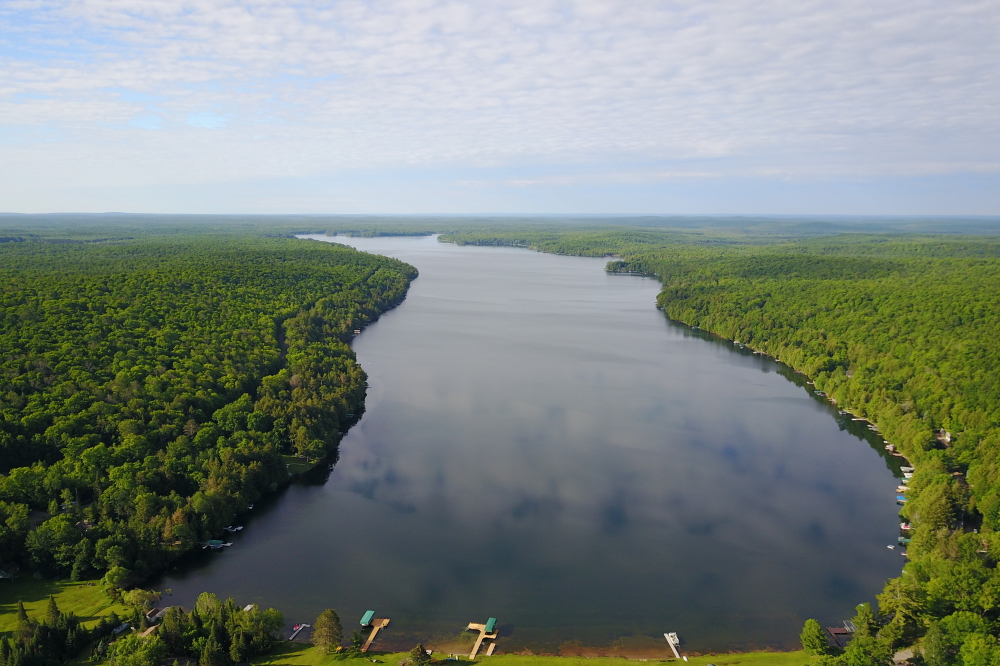 There was a lot of green last week, but there was even more hot. The fiery weather warmed the lake, greened the plants, and bronzed our hides.  Those that forgot their sunscreen weren't so much bronzed as cremated. I'm not sure if a sunscreen rated SPF 4 or less comes with a free urn, but it should.