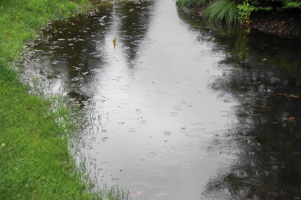 It also rained. Twice. The first  sprinkle dropped only about a tenth of an inch.