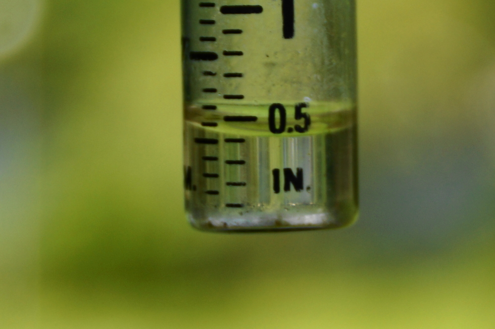 The second was more juicy. The grass is getting long as the lawn puddles refuse to shrink. Some are looking into fitting mowers with snorkels or pontoons.