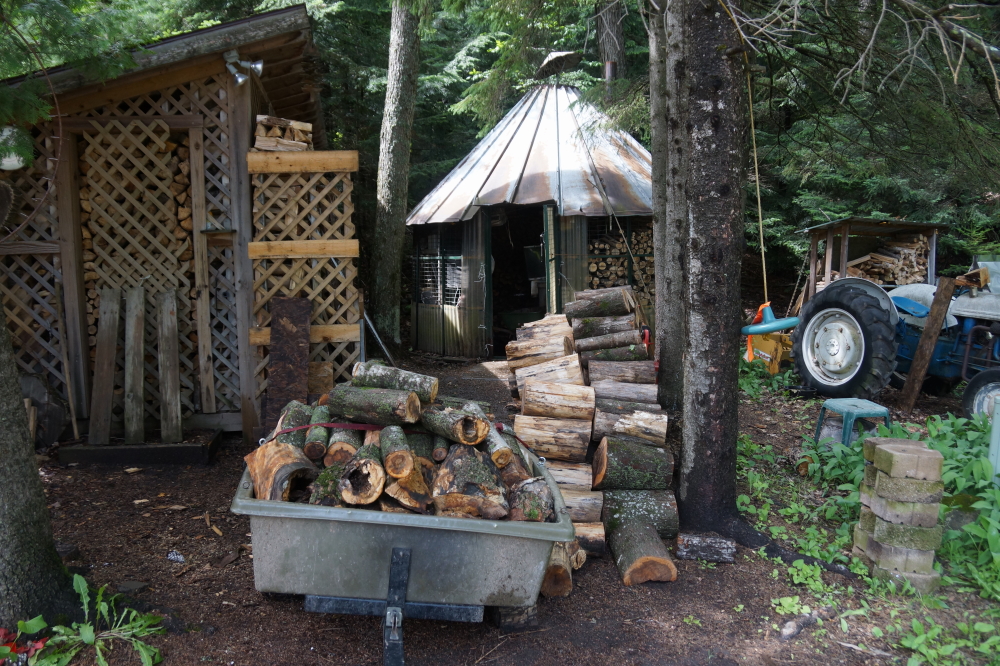 Some of the sugarmen took advantage of the suffocating heat to cut a few cords.  Suffering for your art is a time honored tradition for some, not me though.