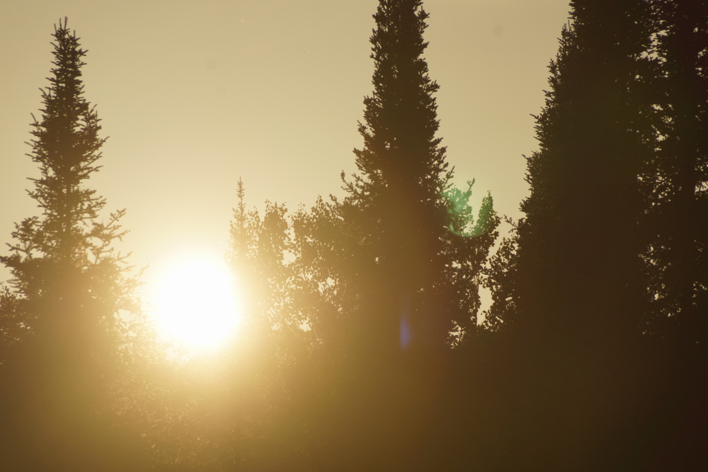 There were a few cloudy days last week, but most of the time, the sun was out tanning the SPF 50 crowd and incinerating everyone else.