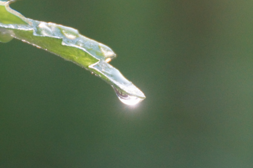 There was also some rain last week.