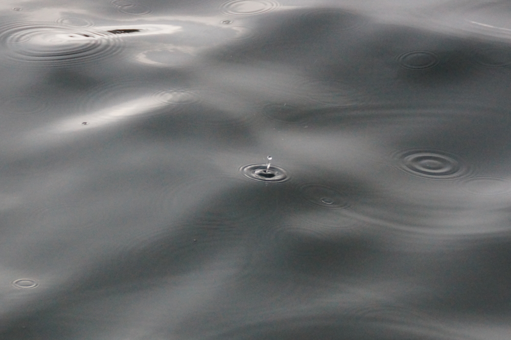 About a minute later, a few droplets began gently decorating the lake's surface..